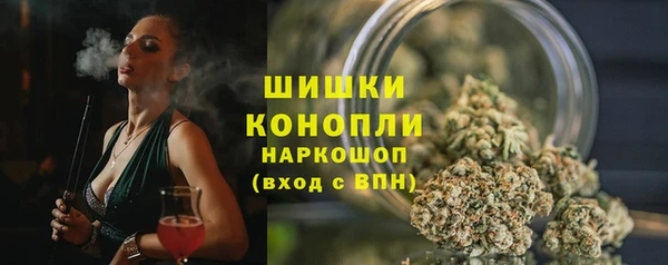 ECSTASY Сосновка