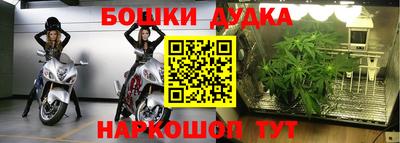 mdpv Кандалакша