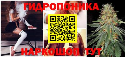 mdpv Кандалакша