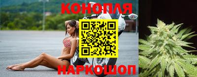 каннабис Камышлов