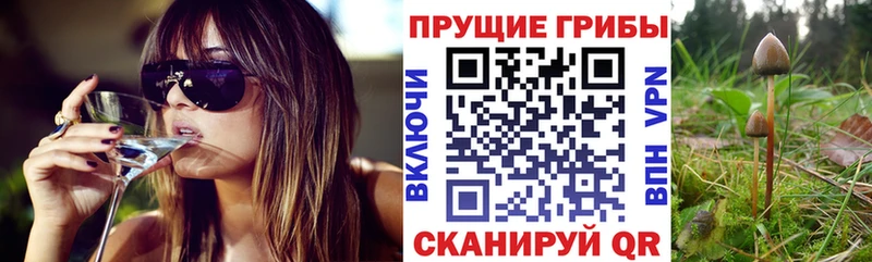 Псилоцибиновые грибы прущие грибы ОМГ ОМГ ONION Оренбург