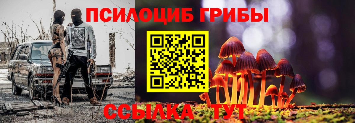 Псилоцибиновые грибы Psilocybine cubensis Оренбург